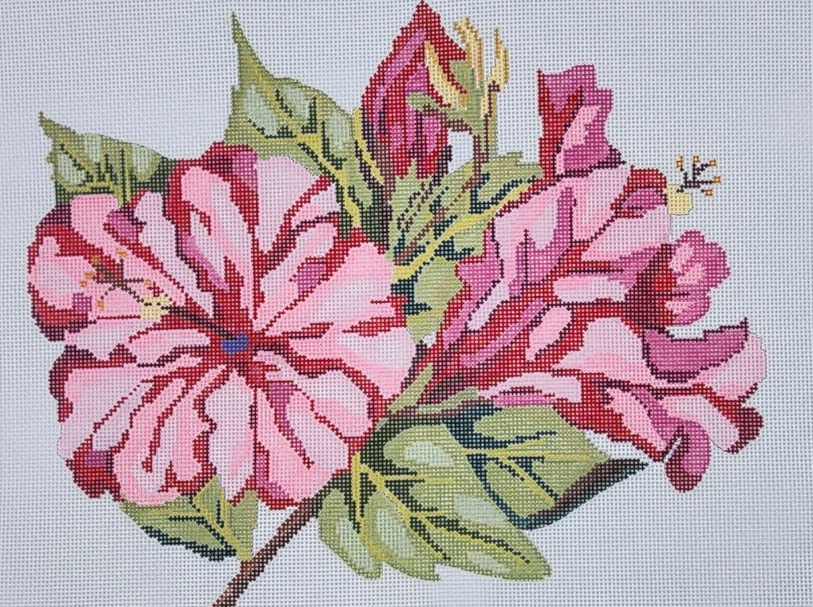 Hibiscus Bloom