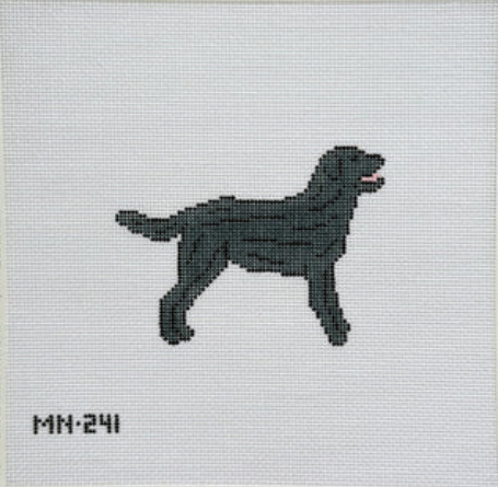 Black Labrador Retriever
