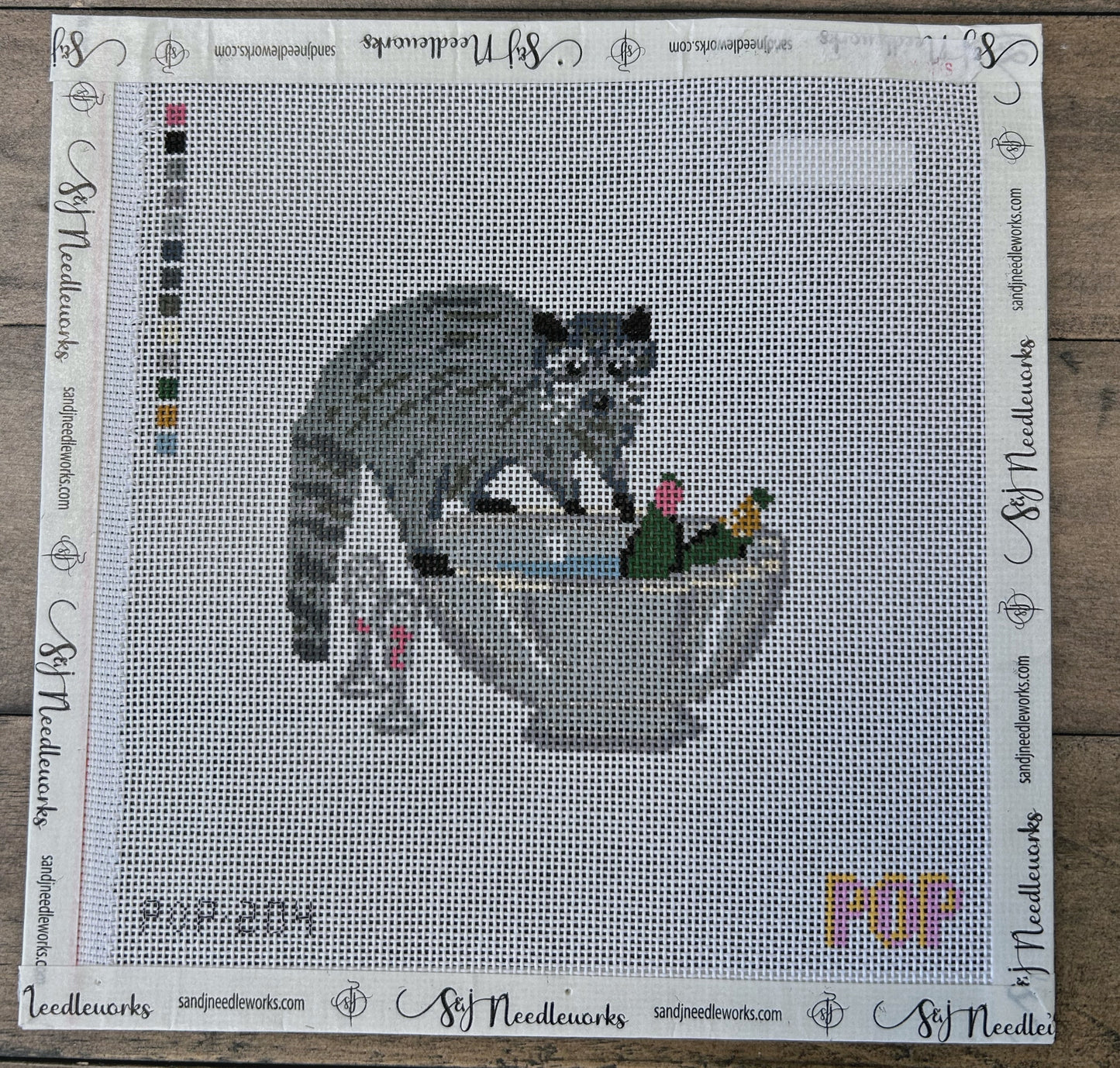 Raccoon in the Champagne Bowl