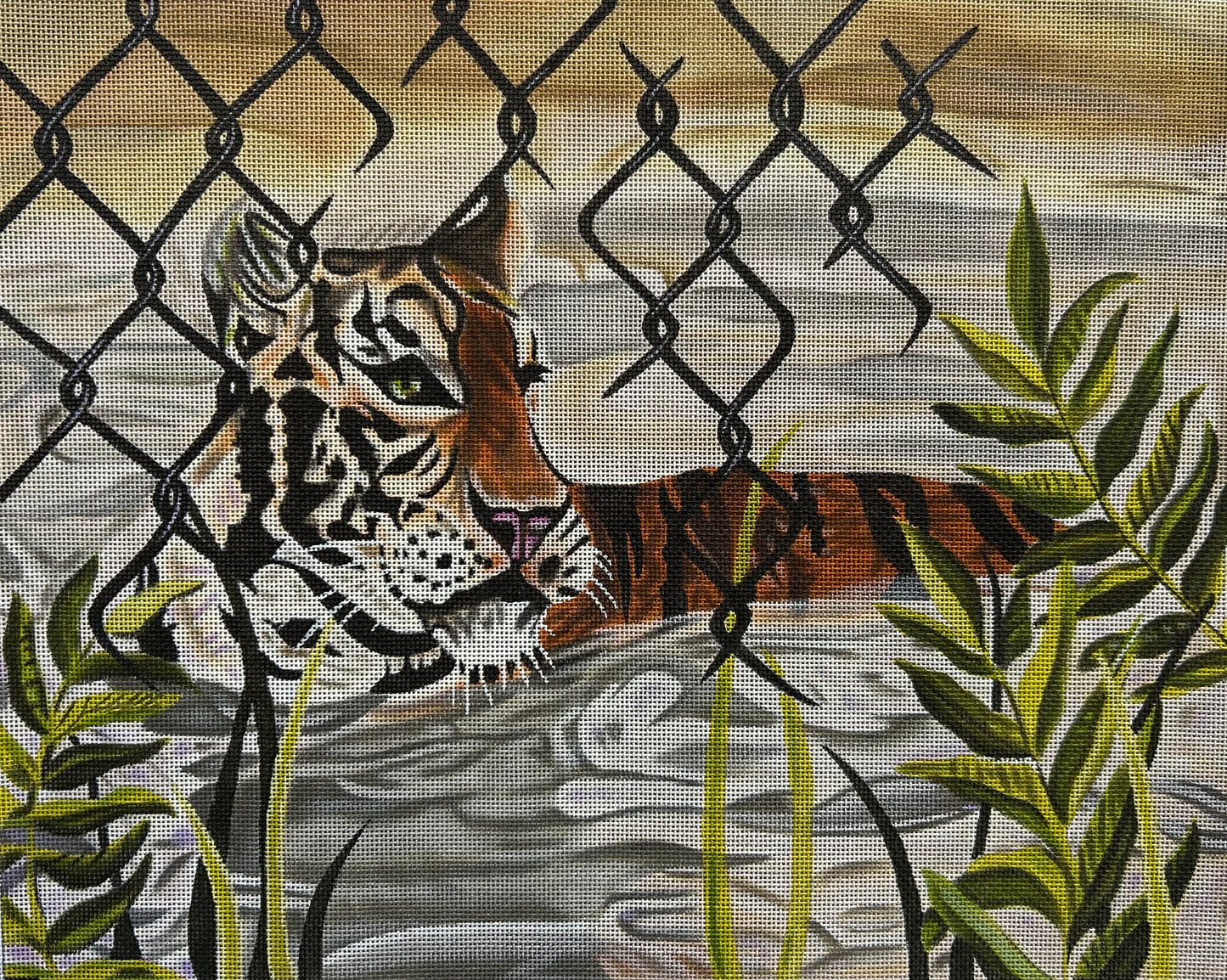 Captive Tiger (TS)