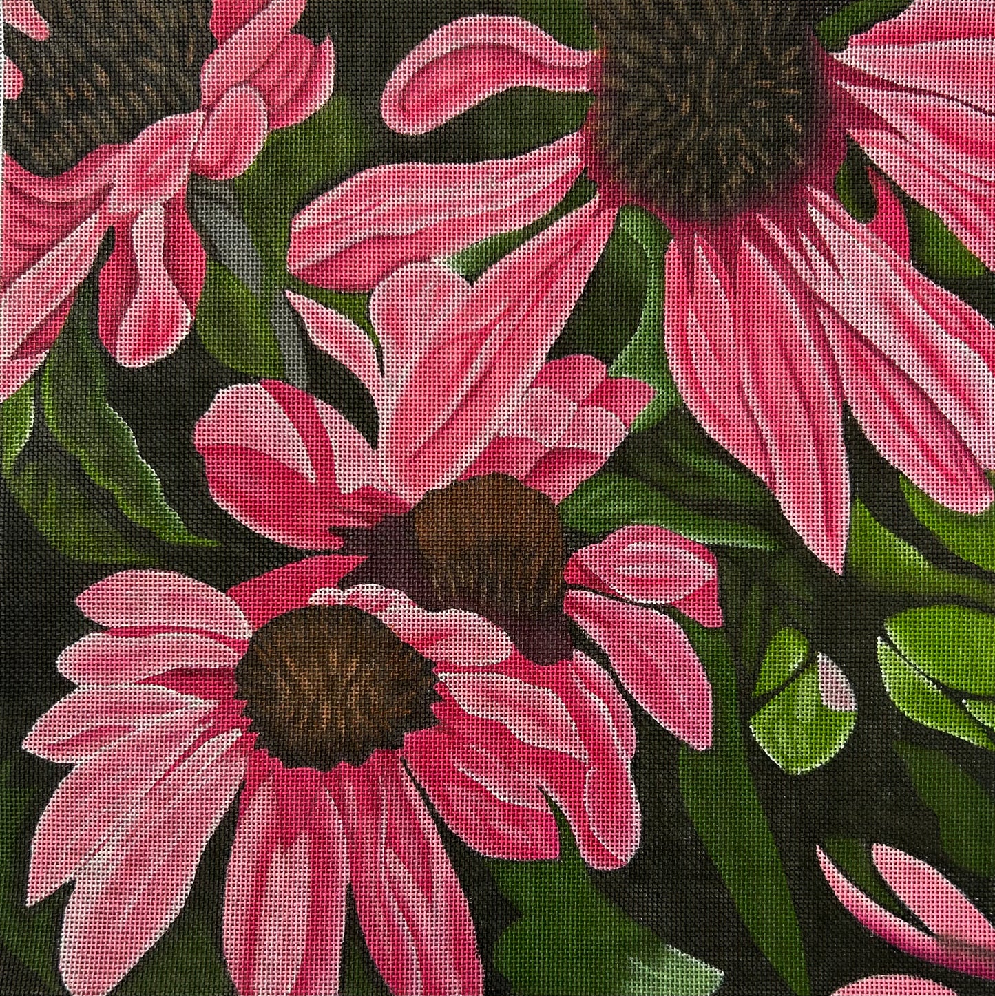 Pink Coneflowers Canvas Canvas