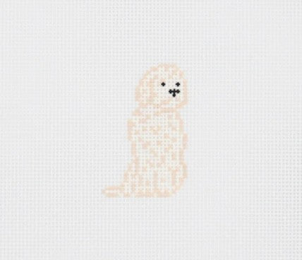 Mini Golden Doodle