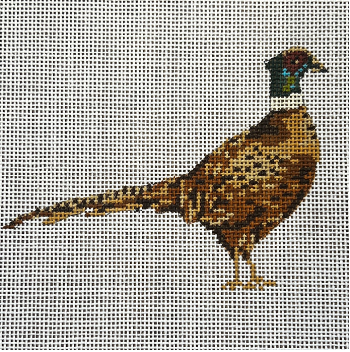 Pheasant Canvas
