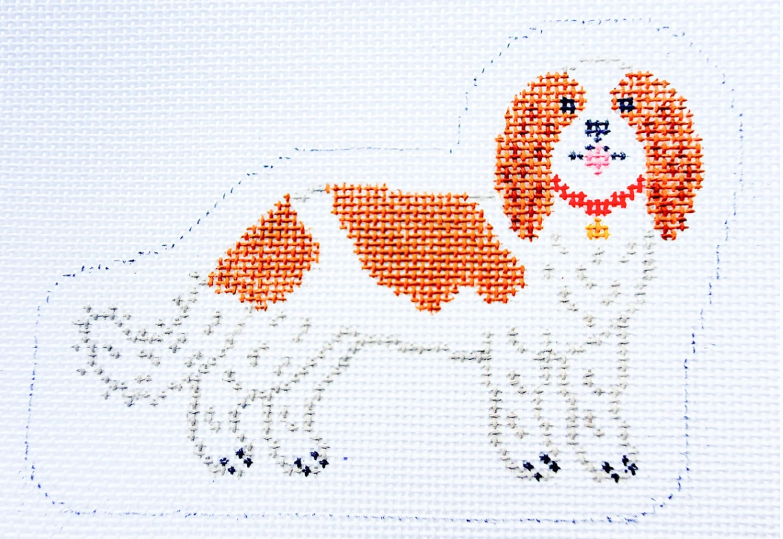 King Charles Cavalier Spaniel