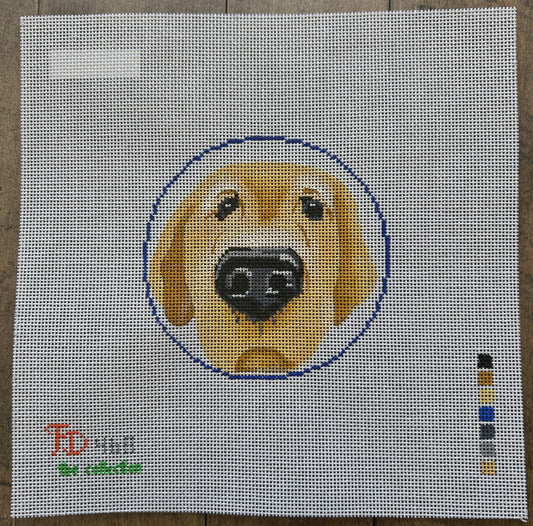 Nose Boop Yellow Lab