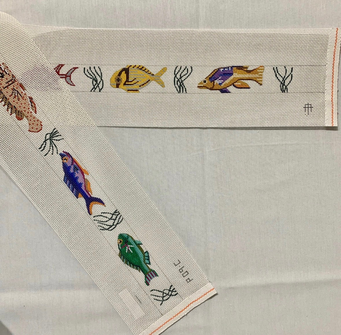 Tropical Fish belt