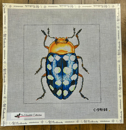 Little Bugs - Blue w/ White Dots