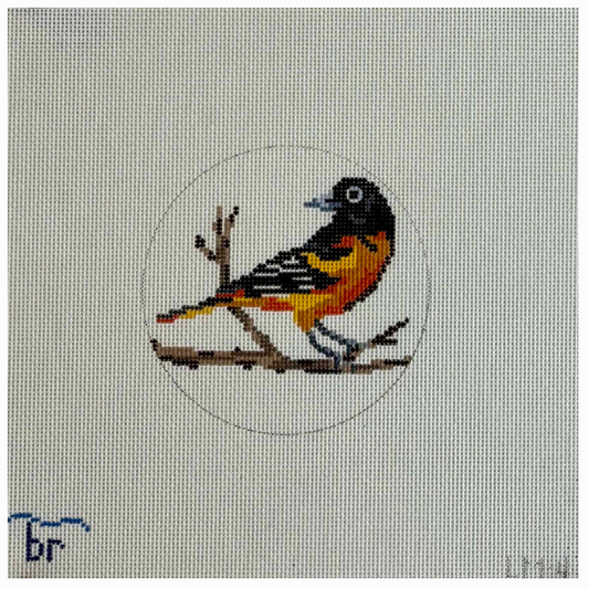 Baltimore Oriole