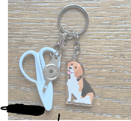 Notion Key Chain - Dogs and Cats