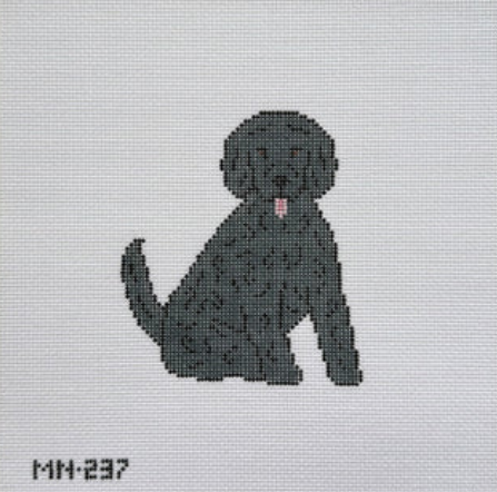 Black Doodle / Poodle