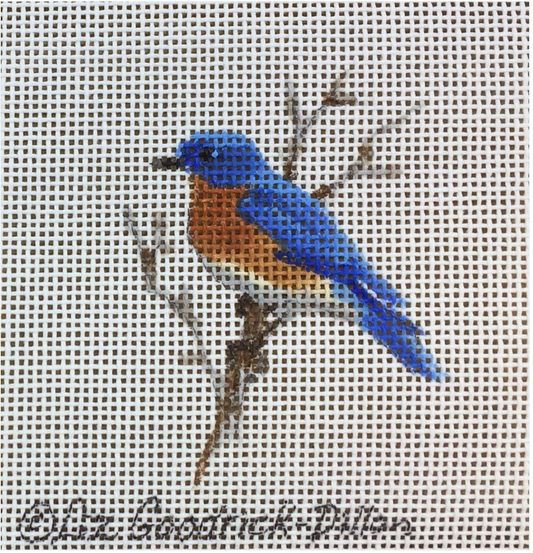 Bluebird Canvas