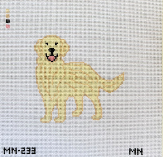English Cream Golden Retriever