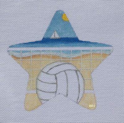 VOLLEYBALL STAR-TS06