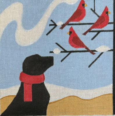 BLACK LAB AND CARDINALS-TS06