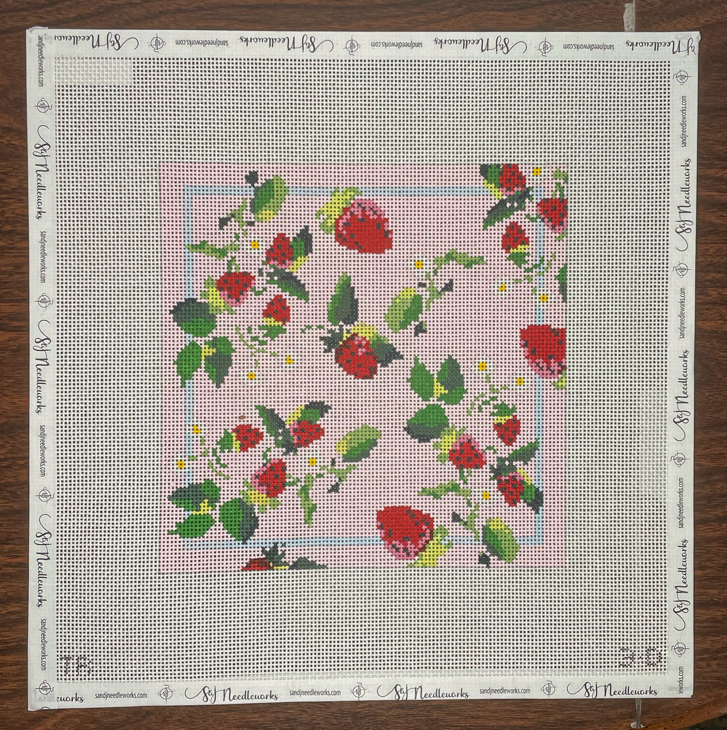 Strawberry Square - Plum Stitchery - Needlepoint Canvas 