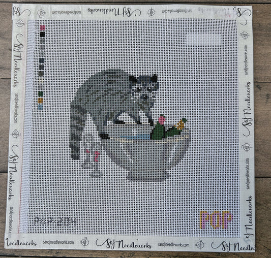 Raccoon in the Champagne Bowl