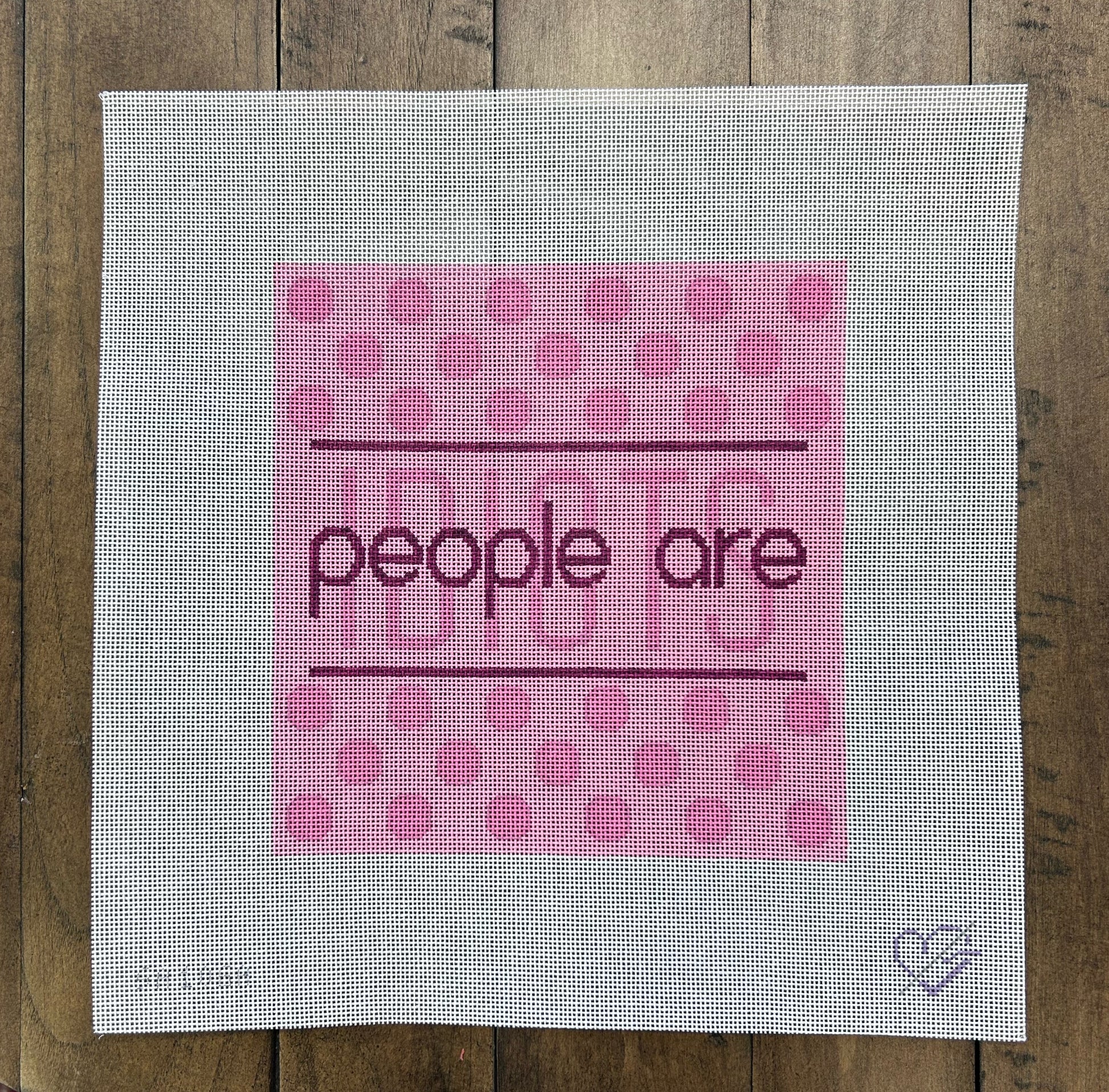 People Are Idiots - Flying Stitches NDLPT - Needlepoint Canvas 18 mesh