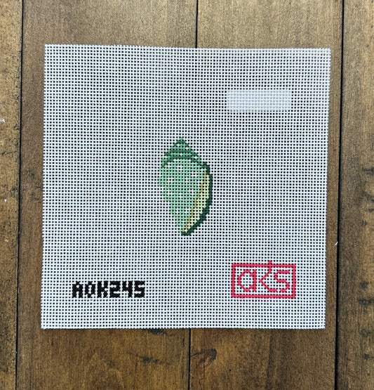 Tiny Green Cone Shell