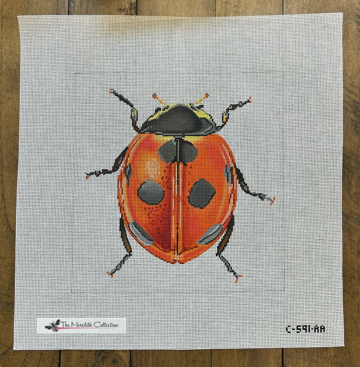 Little Bugs - Lady Bug