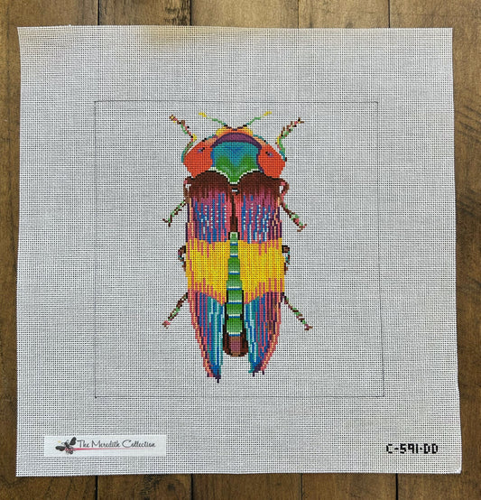 Little Bugs - Rainbow