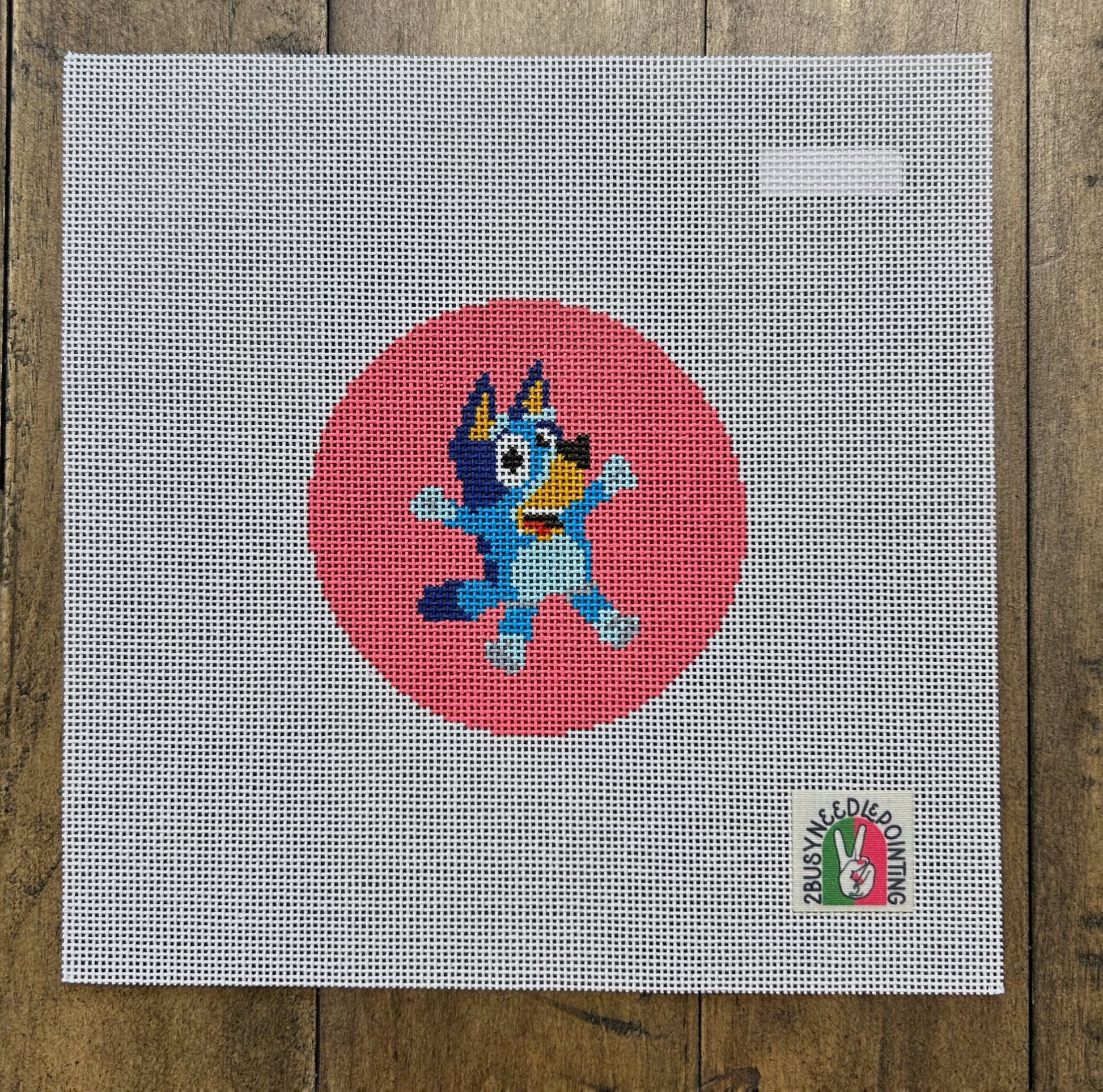 Space Ranger Canvas