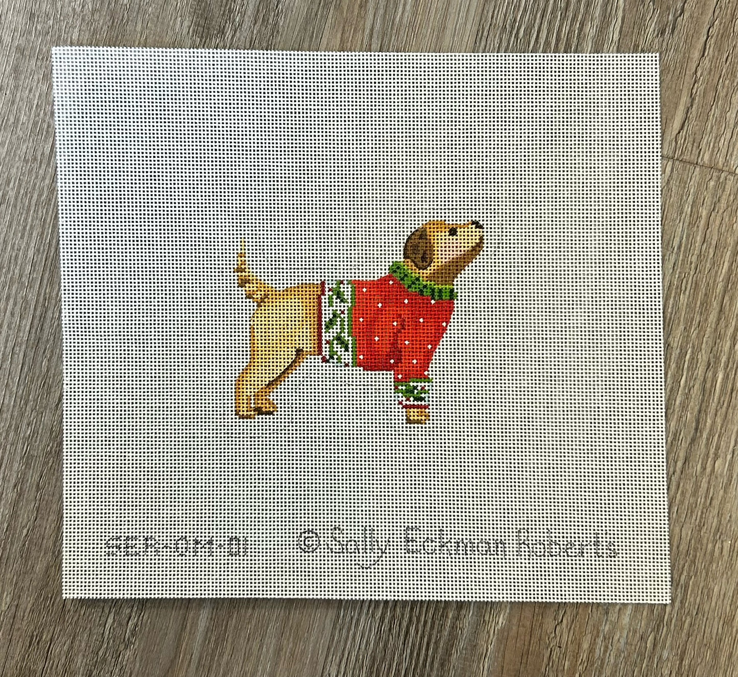 Yellow Dog in Red Sweater