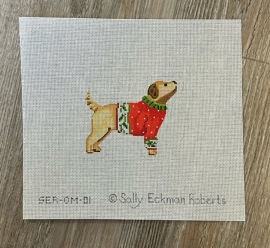 Yellow Dog in Red Sweater