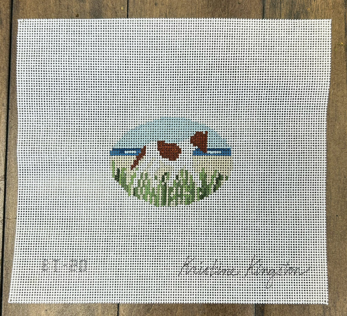 Assateague Wild Pony Canvas
