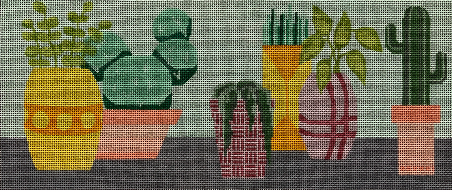 Potted Cacti (TS)