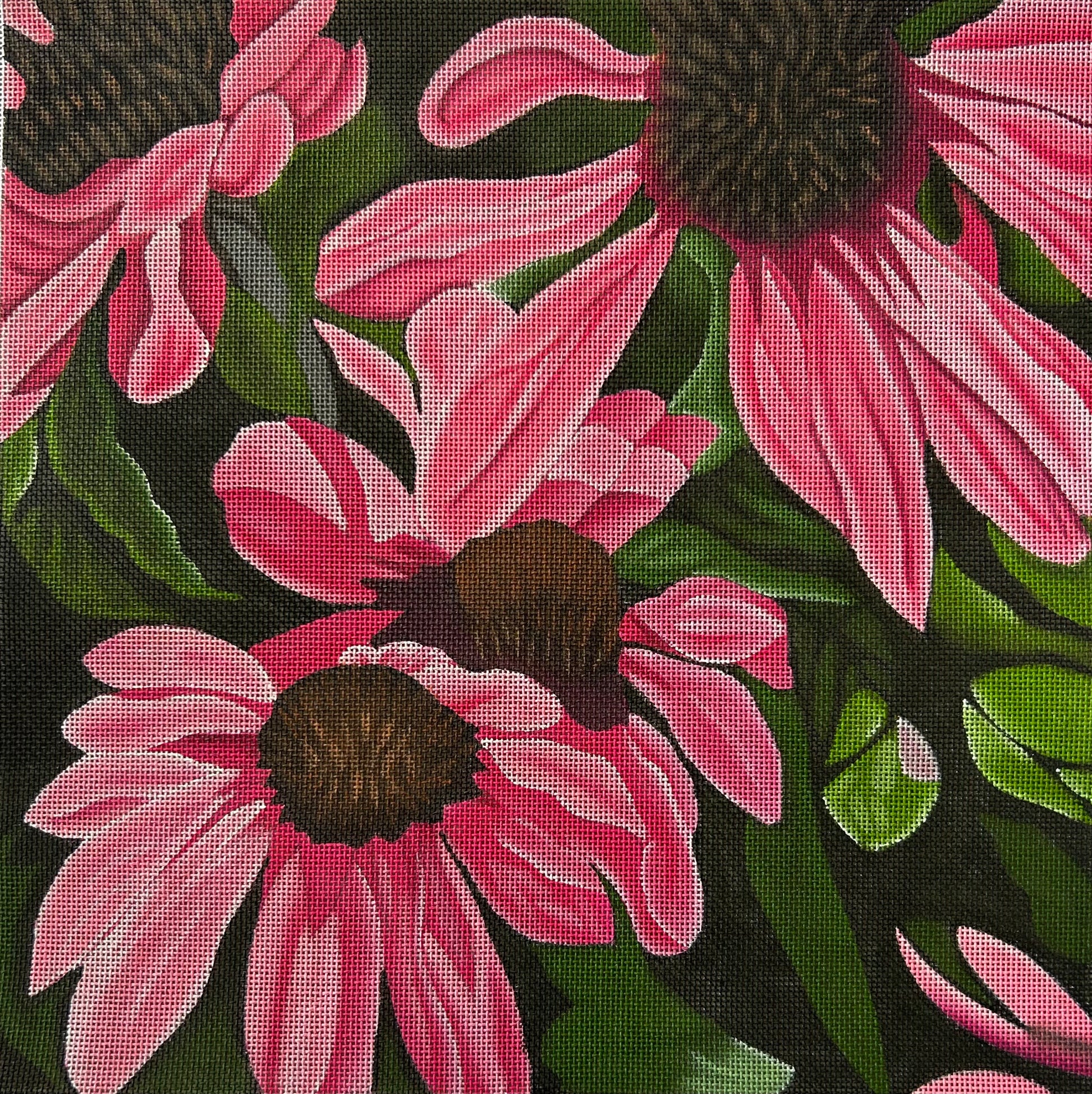 Pink Coneflowers Canvas Canvas