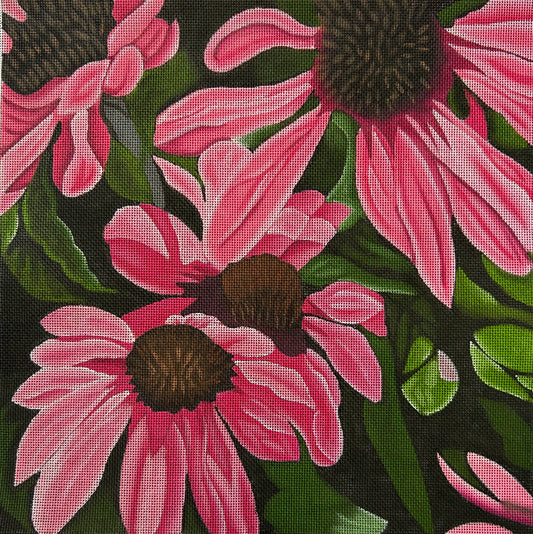 Pink Coneflowers (TS)