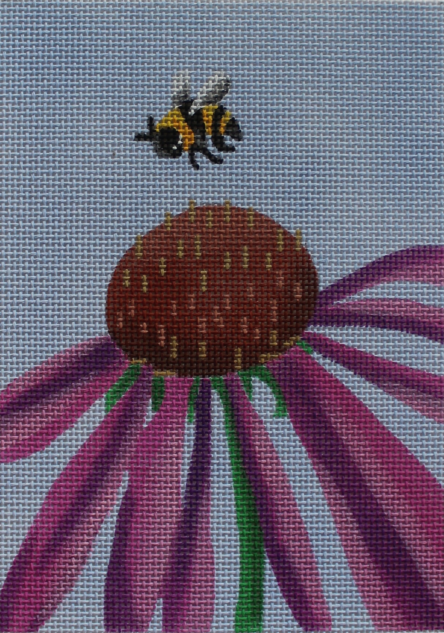 Cone Flower (TS)