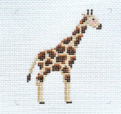 Baby Giraffe Canvas