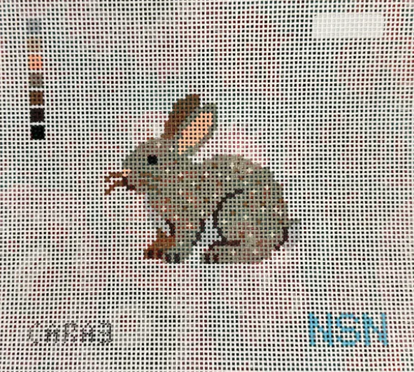 Cottontail Rabbit Canvas