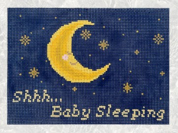 Shhh...Baby Sleeping Canvas