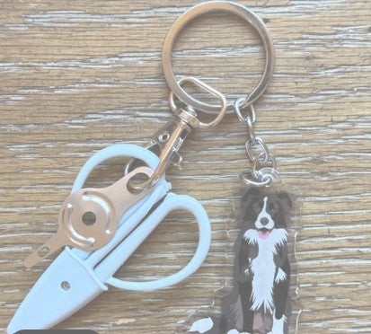 Notion Key Chain - Dogs and Cats