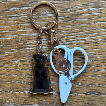 Notion Key Chain - Dogs and Cats