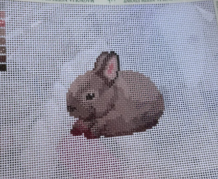 Baby Bunny Mini