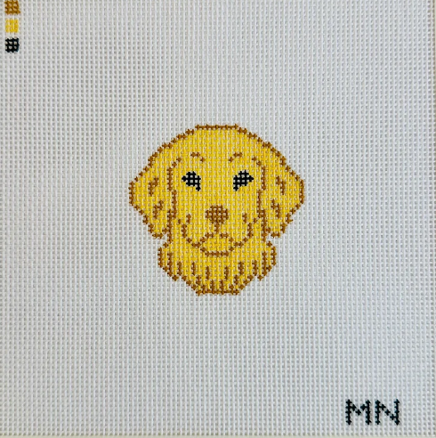 Golden Retriever Mini