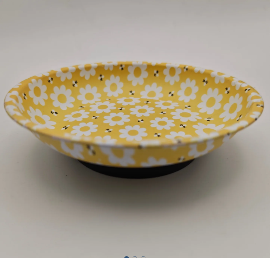 Magnetic Bowl