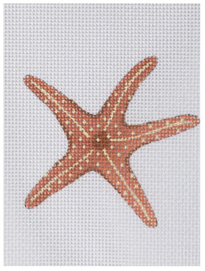 Starfish Mini