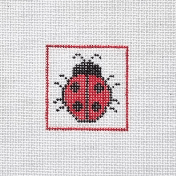 Lady Bug Mini